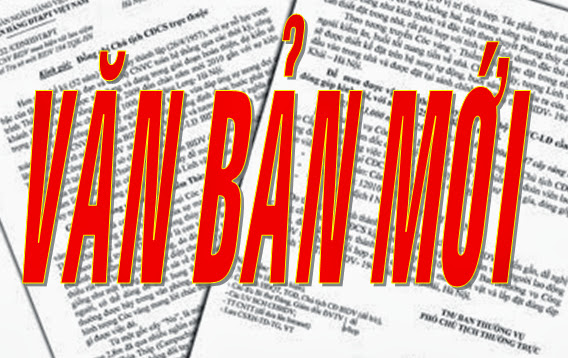 Triển khai kết luận của Tỉnh ủy