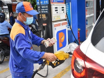 Triển khai Nghị định số 51/2022/NĐ-CP ngày 08/8/2022 của Chính phủ