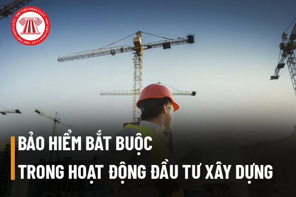 Triển khai Thông tư số 50/2022/TT-BTC ngày 11/8/2022 của Bộ trưởng Bộ Tài chính