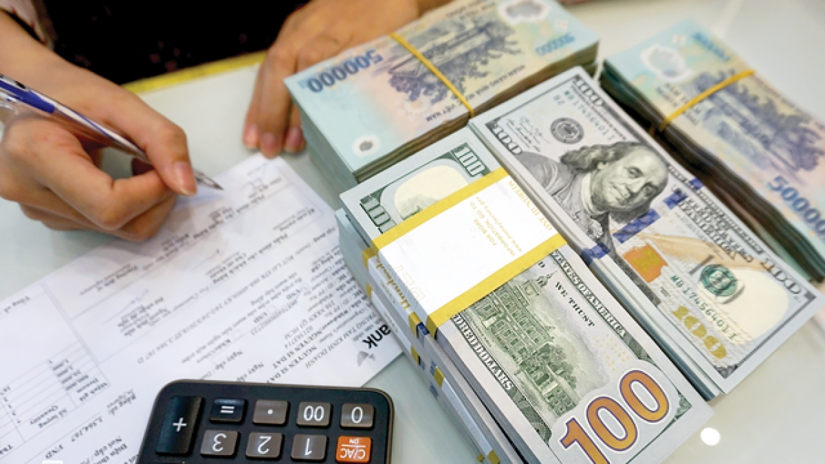 Triển khai Nghị định số 65/2022/NĐ-CP ngày 16/9/2022 của Chính phủ.