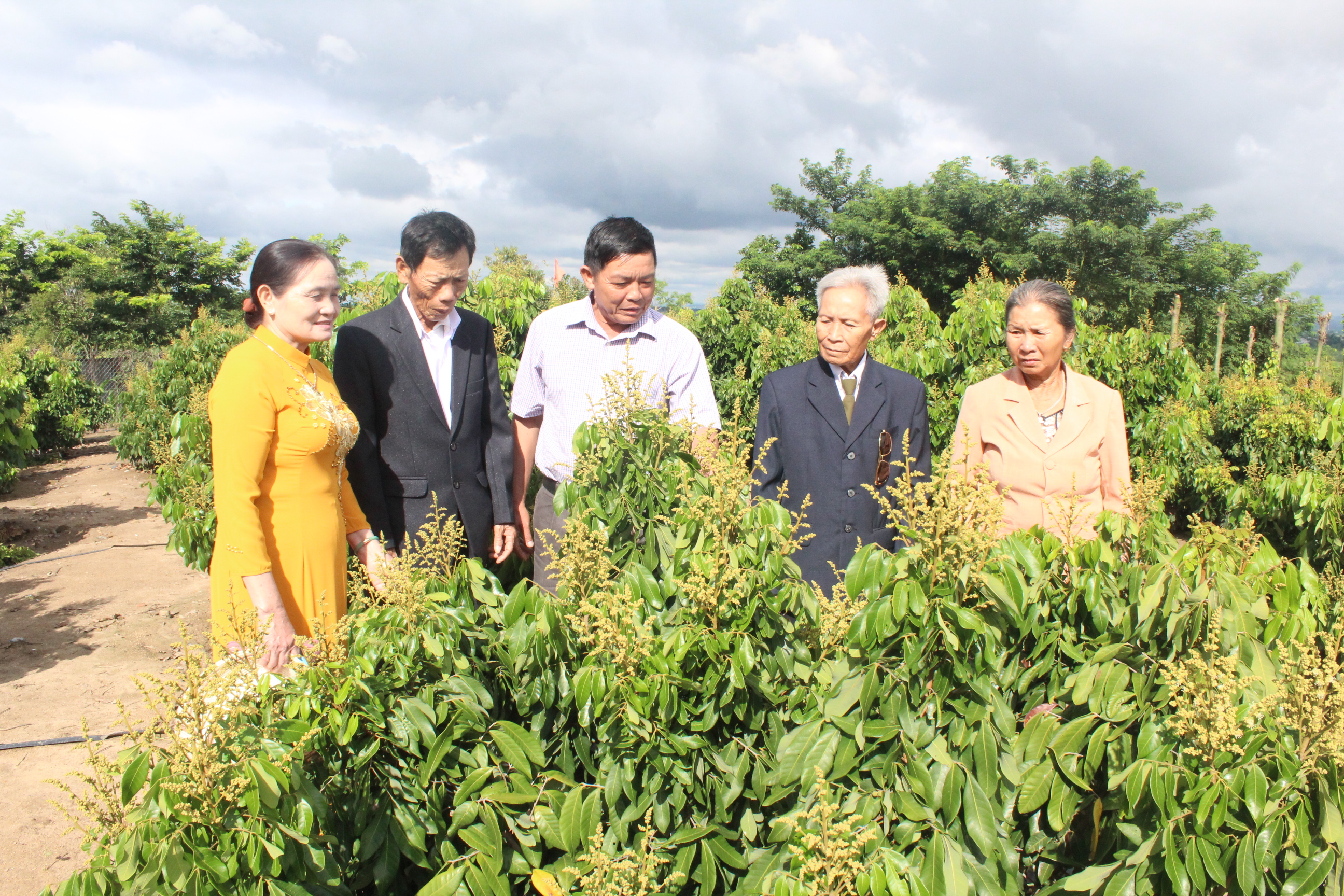 Phát huy vai trò “Tuổi cao gương sáng” trong các phong trào thi đua