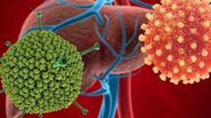 Tuyên truyền phòng, chống bệnh do vi rút Adeno