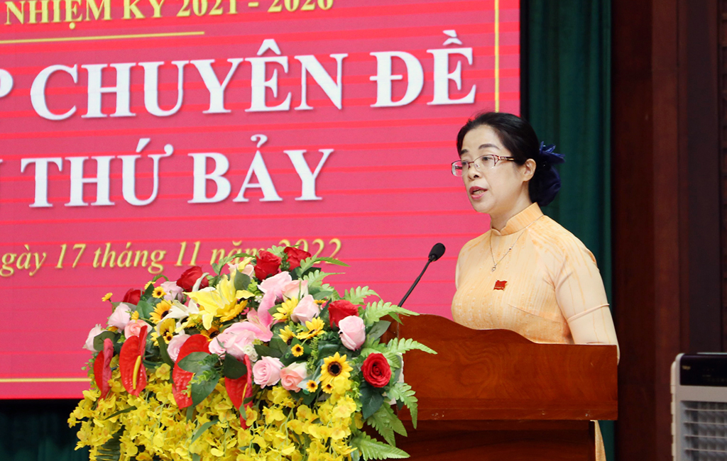 Khai mạc Kỳ họp chuyên đề lần thứ Bảy, HĐND tỉnh khóa X