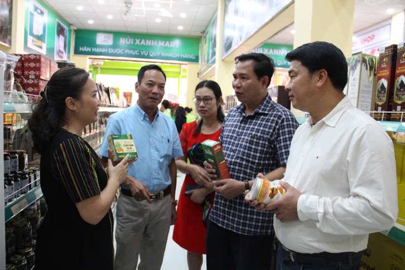 Thành phố Buôn Ma Thuột thu ngân sách nhà nước đạt cao nhất từ trước đến nay