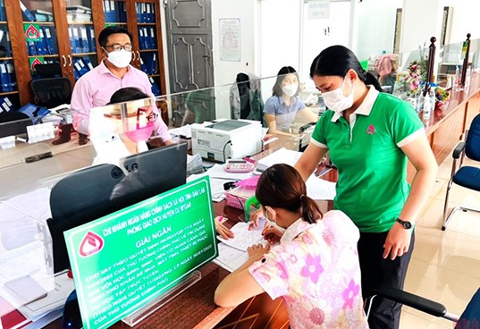 Triển khai cho vay hơn 212,1 tỷ đồng theo Nghị quyết số 11/NQ-CP của Chính phủ