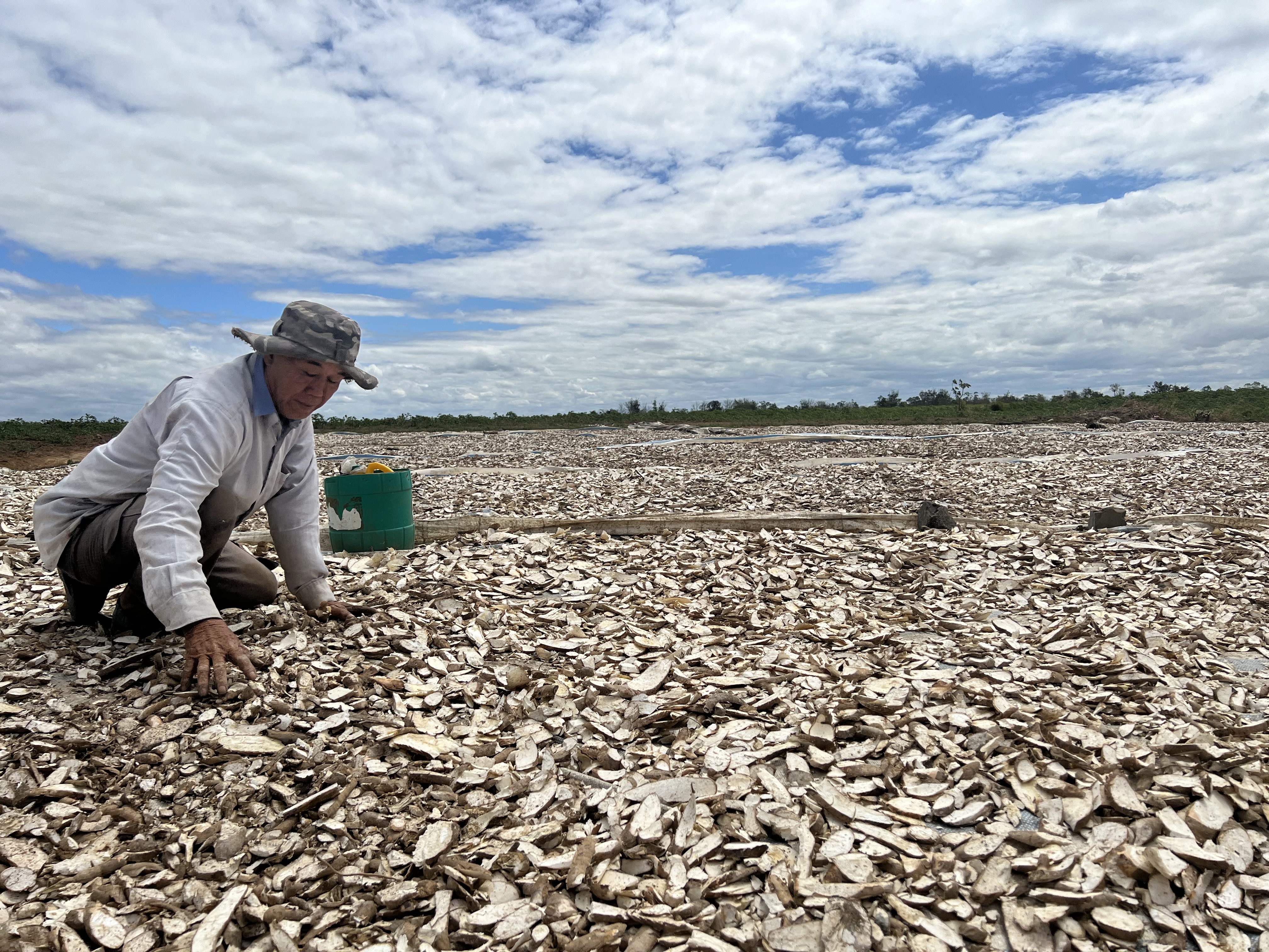 Huyện Ea Súp tuyển chọn 100 lao động đi làm việc tại tại thành phố Ik-San, tỉnh Jeollabuk, Hàn Quốc