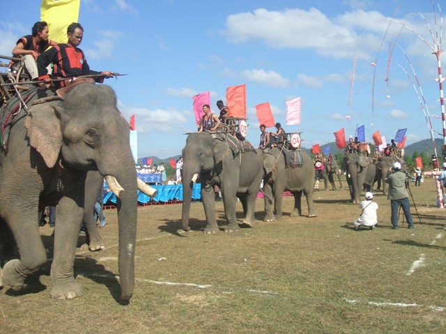 Hội voi Buôn Đôn: Điều chỉnh các hoạt động phù hợp với phúc lợi của voi nhà