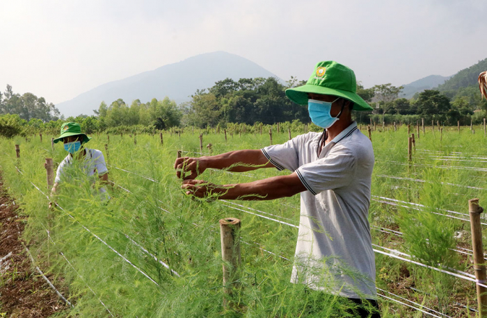 Kế hoạch tổ chức Hội nghị đối thoại với nông dân năm 2023, chủ đề “Nâng cao chất lượng nông sản, sản xuất - kinh doanh nông sản thực phẩm an toàn, bảo vệ môi trường”