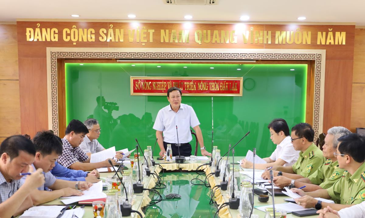 Giám sát việc thực hiện chính sách, pháp luật về công tác trồng rừng tập trung, phát triển rừng trên địa bàn tỉnh Đắk Lắk