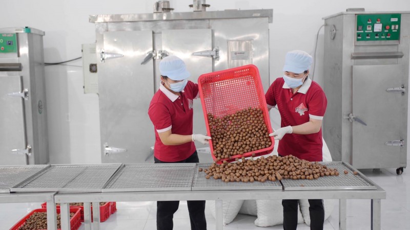 Đắk Lắk triển khai nhiều nội dung hỗ trợ doanh nghiệp nhỏ và vừa năm 2023.