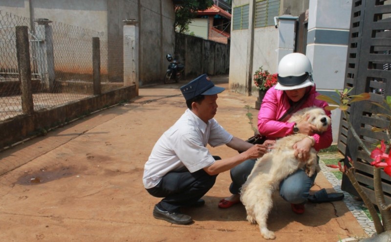 Mass vaccination against rabies on dogs and cats from March 25 to April 25