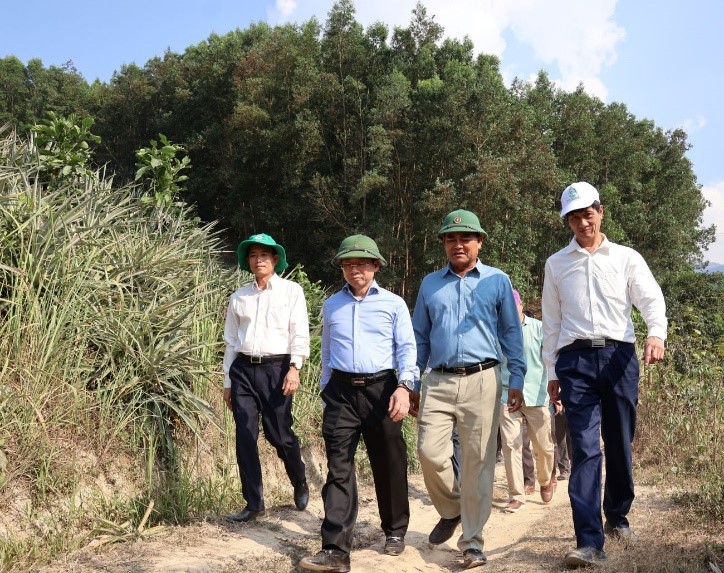 Strengthening effective forest protection and management solutions