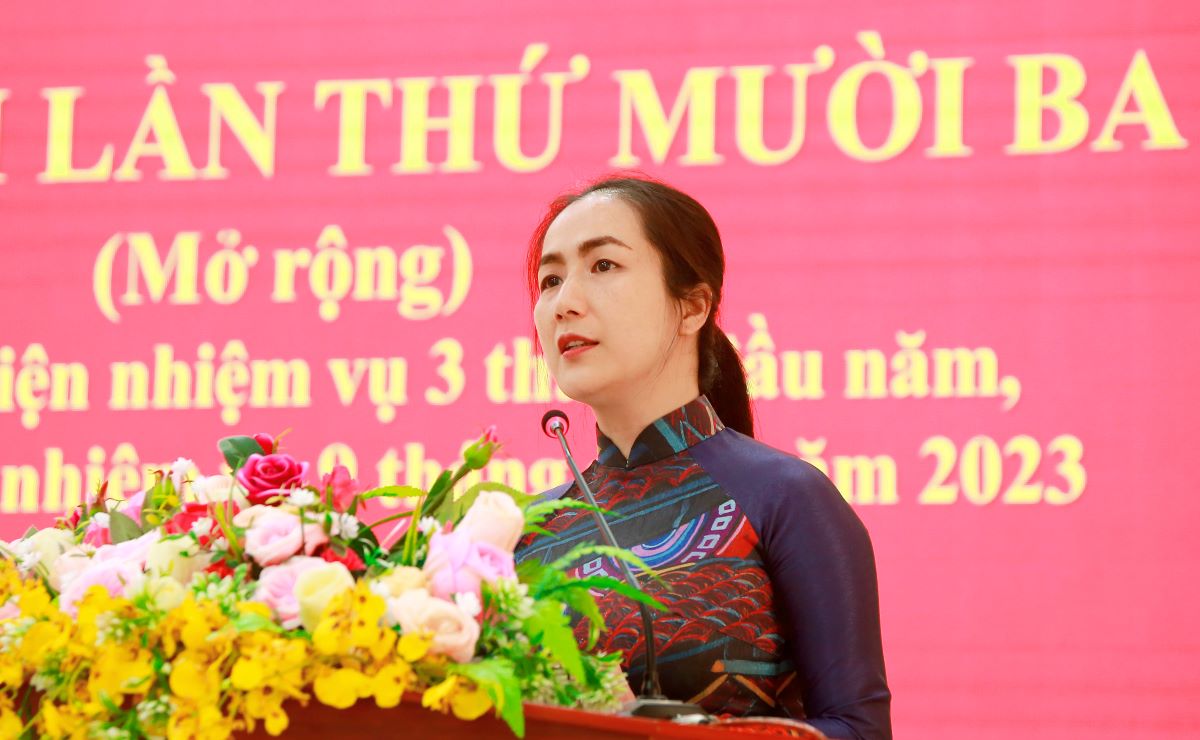 Tổng thu ngân sách Nhà nước huyện Krông Năng quý 1 năm 2023 đạt 33,69% dự toán tỉnh giao