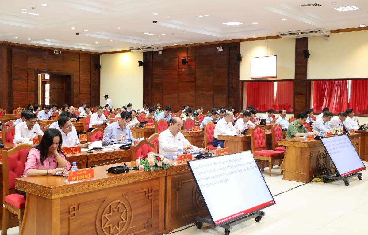 Khai mạc Kỳ họp chuyên đề lần thứ Tám, HĐND tỉnh khóa X, nhiệm kỳ 2021-2026