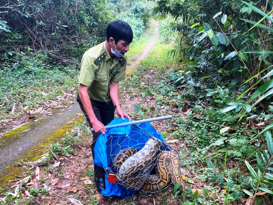 Receive and release 5 wild animals back to nature