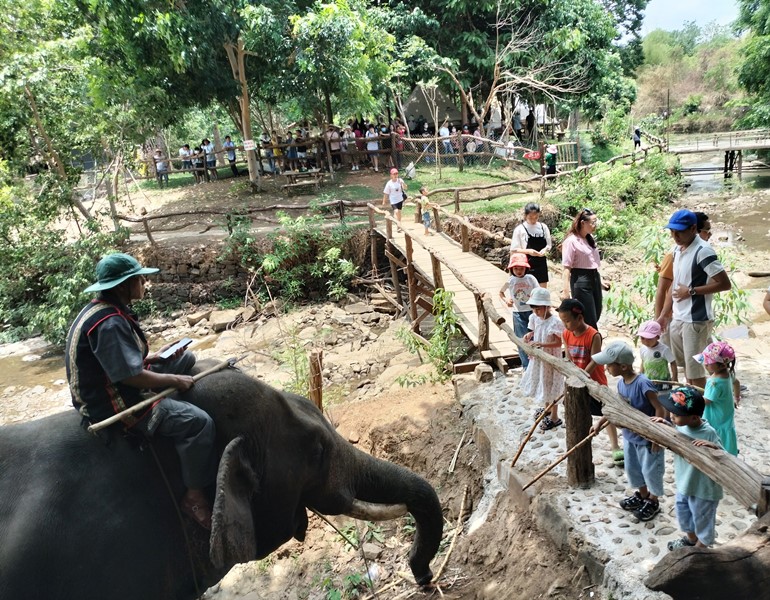 Đắk Lắk đón hơn 115 nghìn lượt du khách dịp lễ 30/4 và 1/5.