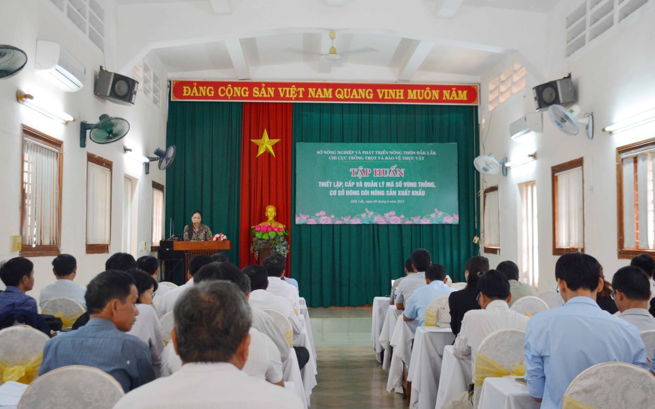 Tập huấn về cấp mã số vùng trồng, cơ sở đóng gói nông sản xuất khẩu