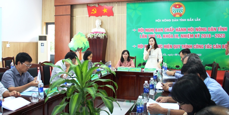 Hội Nông dân tỉnh triển khai nhiệm vụ 6 tháng cuối năm 2023.