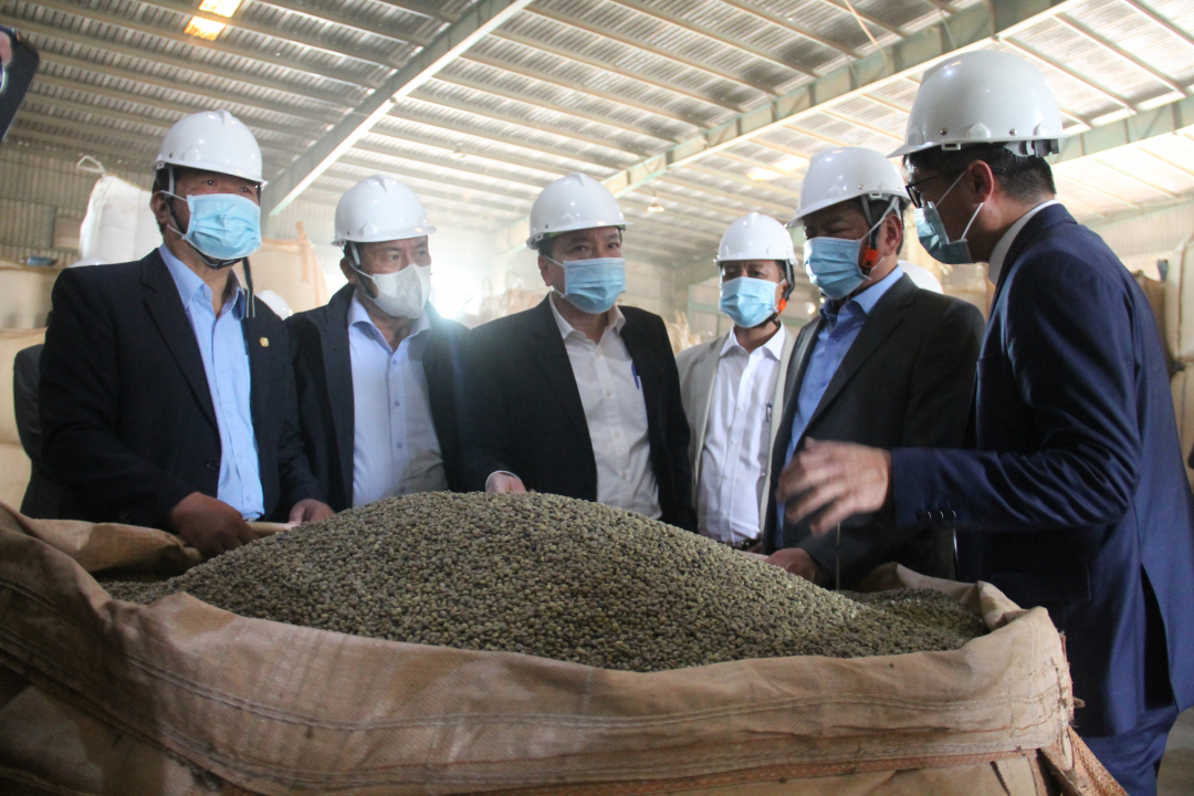 Triển khai nhiều nhóm giải pháp hỗ trợ doanh nghiệp xuất khẩu nông sản