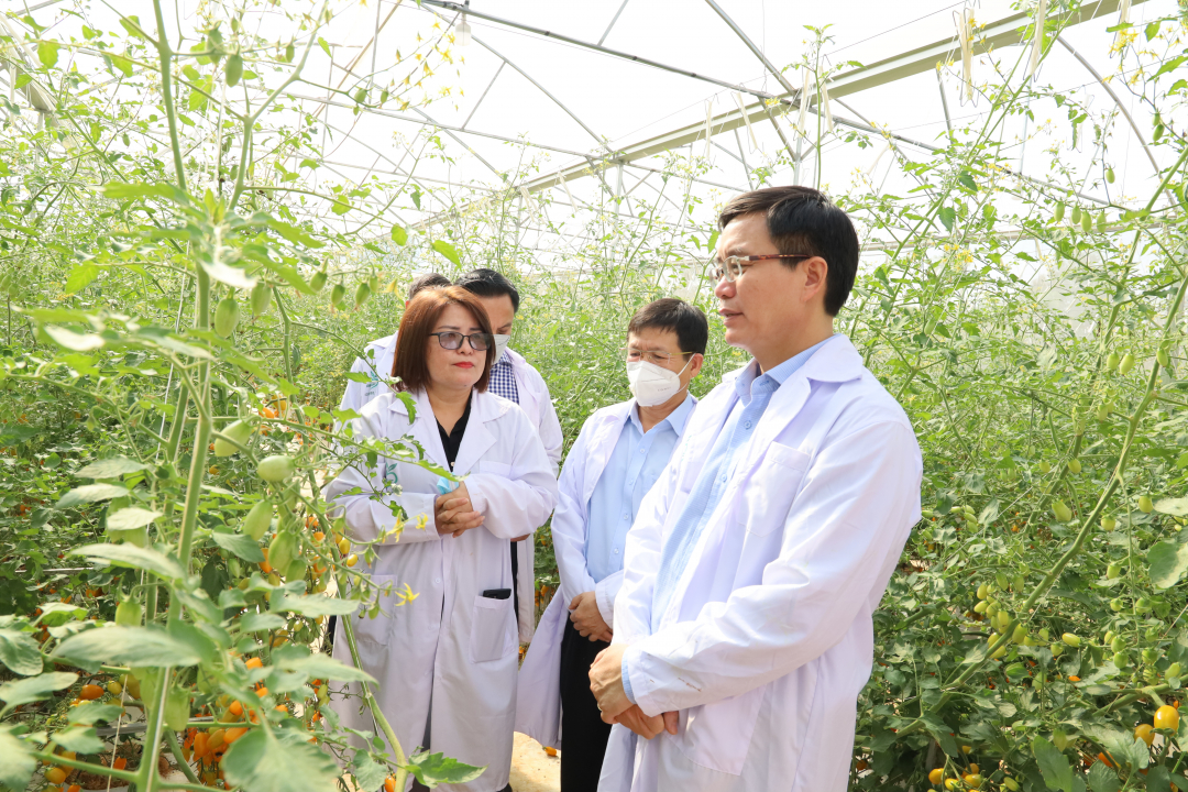 Đắk Lắk mở đợt thi đua đặc biệt chào mừng kỷ niệm 120 năm Ngày thành lập tỉnh