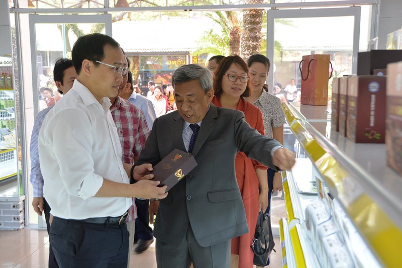 Phối hợp quản lý nhà nước, hỗ trợ doanh nghiệp và hộ kinh doanh sau đăng ký thành lập