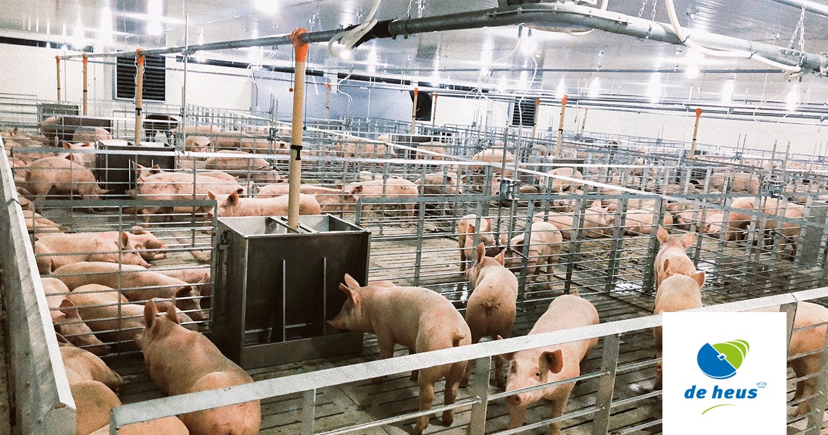 Kế hoạch ứng dụng công nghệ thông tin trong công tác kê khai hoạt động chăn nuôi trên địa bàn tỉnh Đắk Lắk