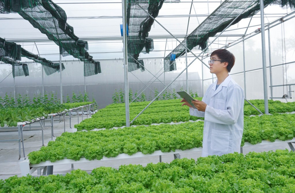 Tiếp tục nâng cao hiệu quả hoạt động của hợp tác xã trên địa bàn