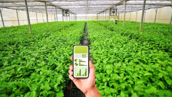 Triển khai thực hiện Chỉ thị của Thủ tướng Chính phủ về đẩy mạnh chuyển đổi số trong khu vực kinh tế hợp tác, hợp tác xã