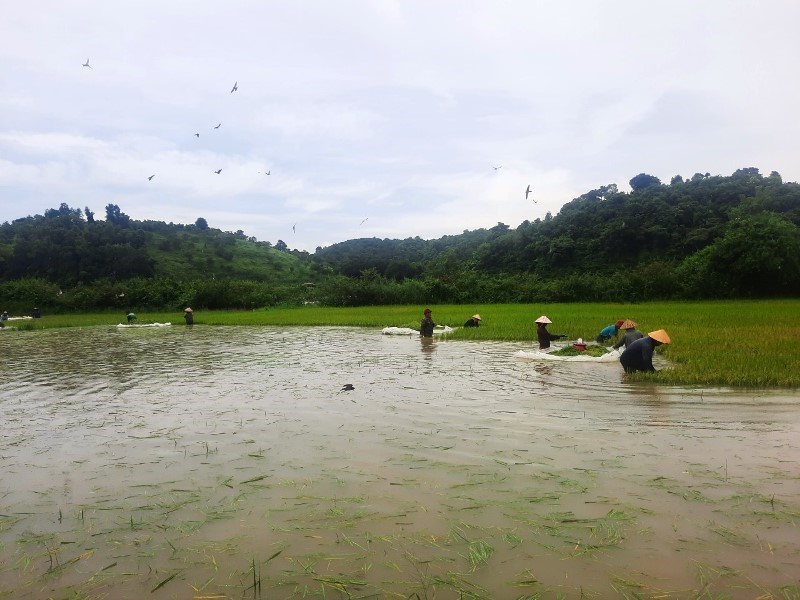 Proactively preventing and mitigating landslides, ensuring the safety of people and their properties during the rainy and flood season