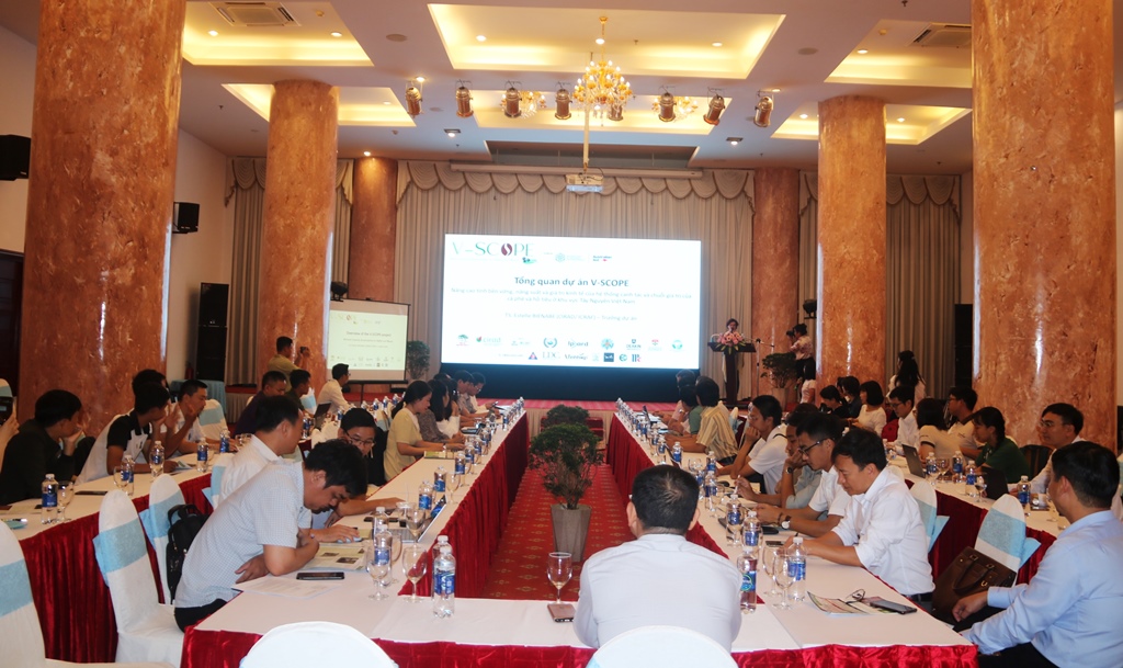 Sơ kết Dự án nâng cao giá trị kinh tế trong chuỗi canh tác cà phê, hồ tiêu