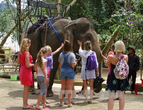 Kế hoạch triển khai thực hiện Nghị quyết số 82/NQ-CP ngày 18/5/2023 của Chính phủ về nhiệm vụ, giải pháp chủ yếu đẩy nhanh phục hồi, tăng tốc phát triển du lịch hiệu quả, bền vững