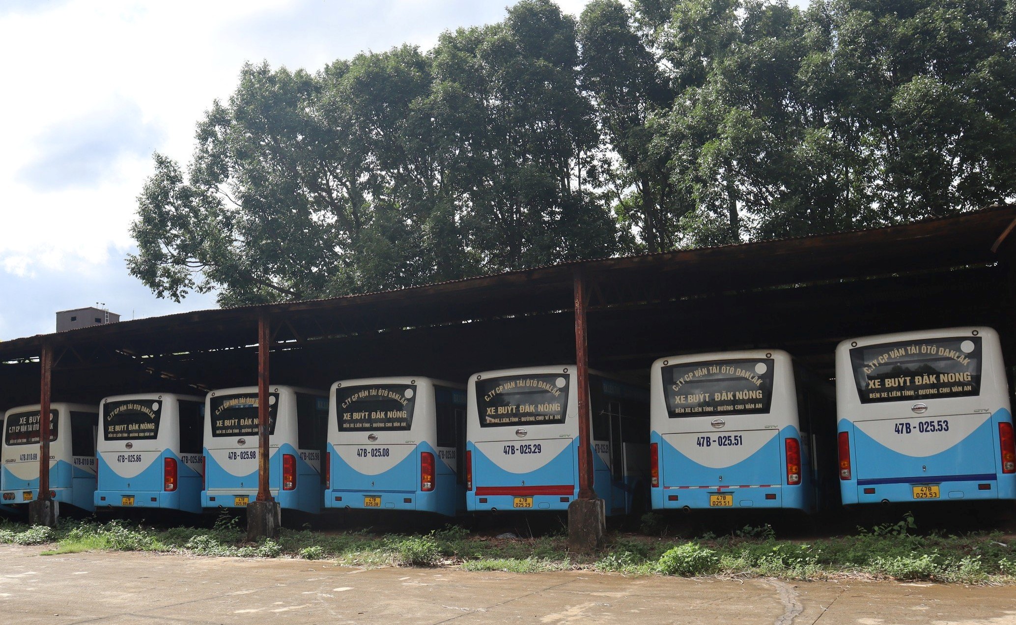 Two fixed-passenger bus routes to cease operation from December 1, 2023.