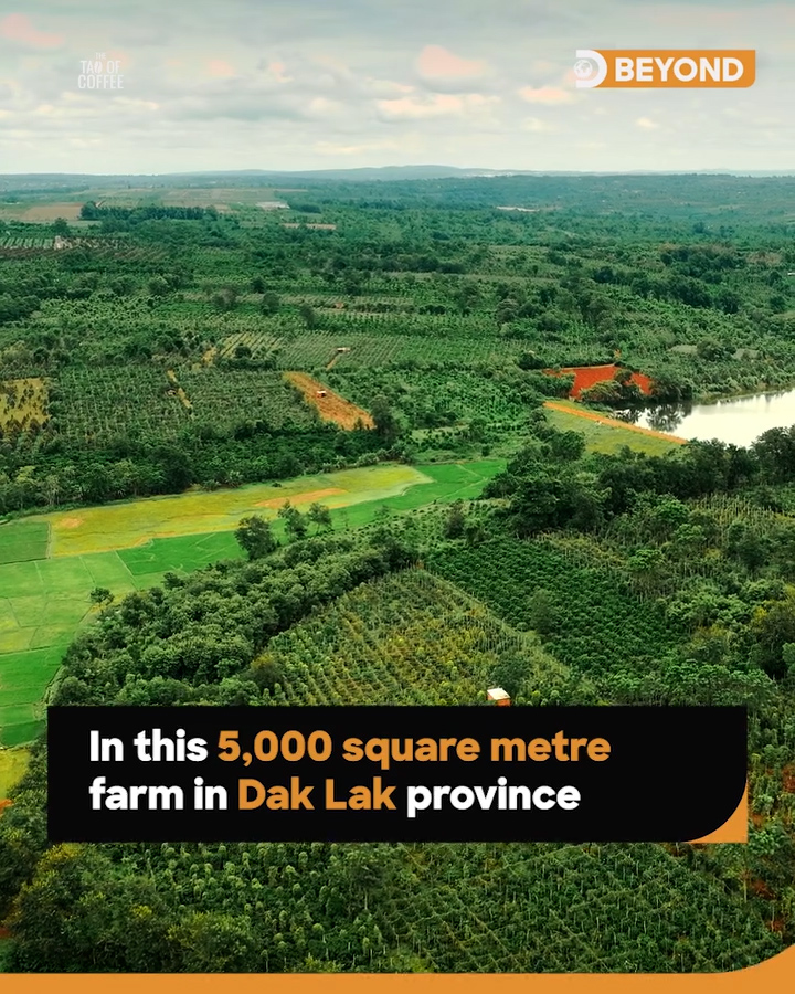 The Discovery Channel brings Vietnamese coffee to global screens