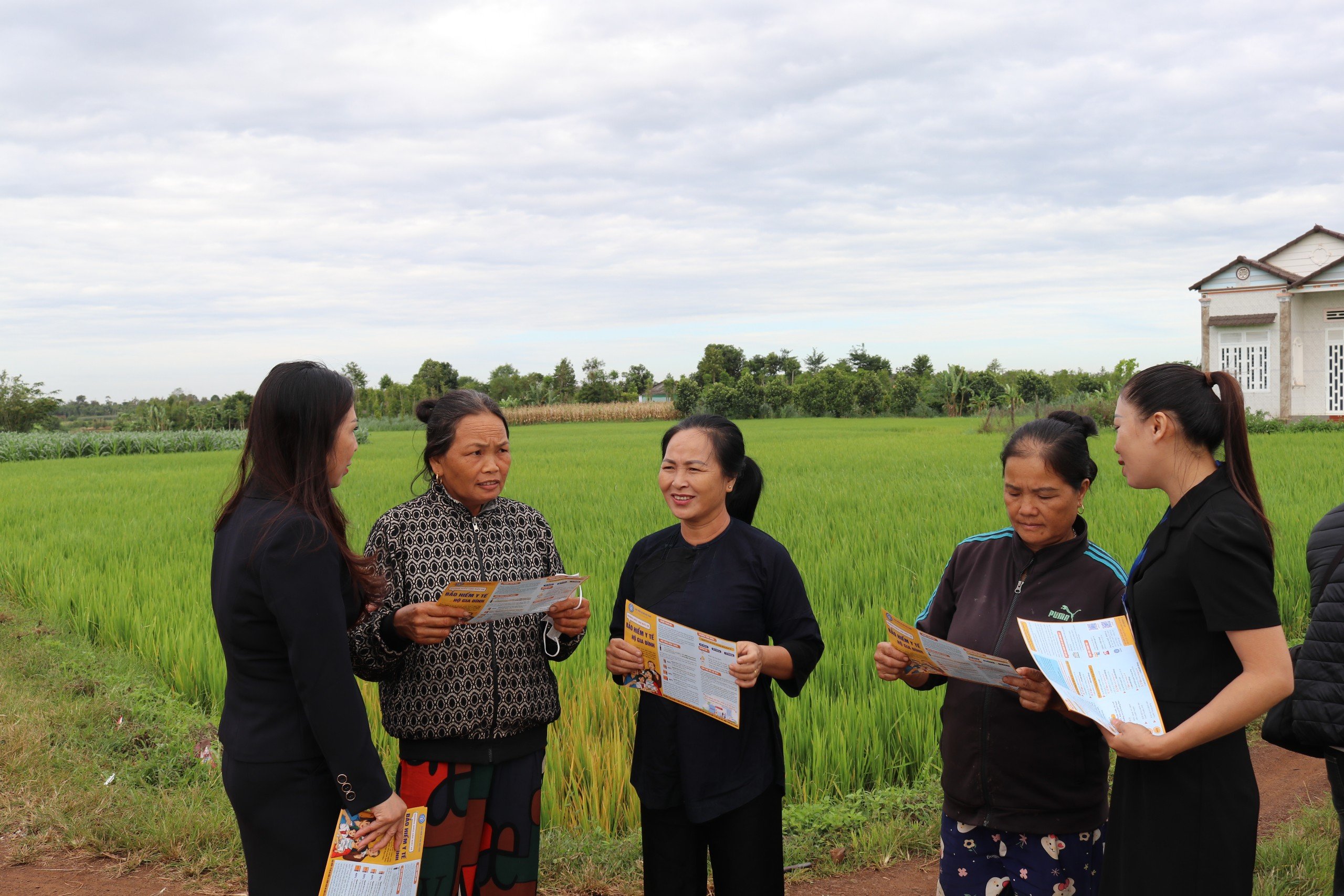 BHXH tỉnh tập trung triển khai Nghị định số 75/2023/NĐ-CP về bảo hiểm y tế