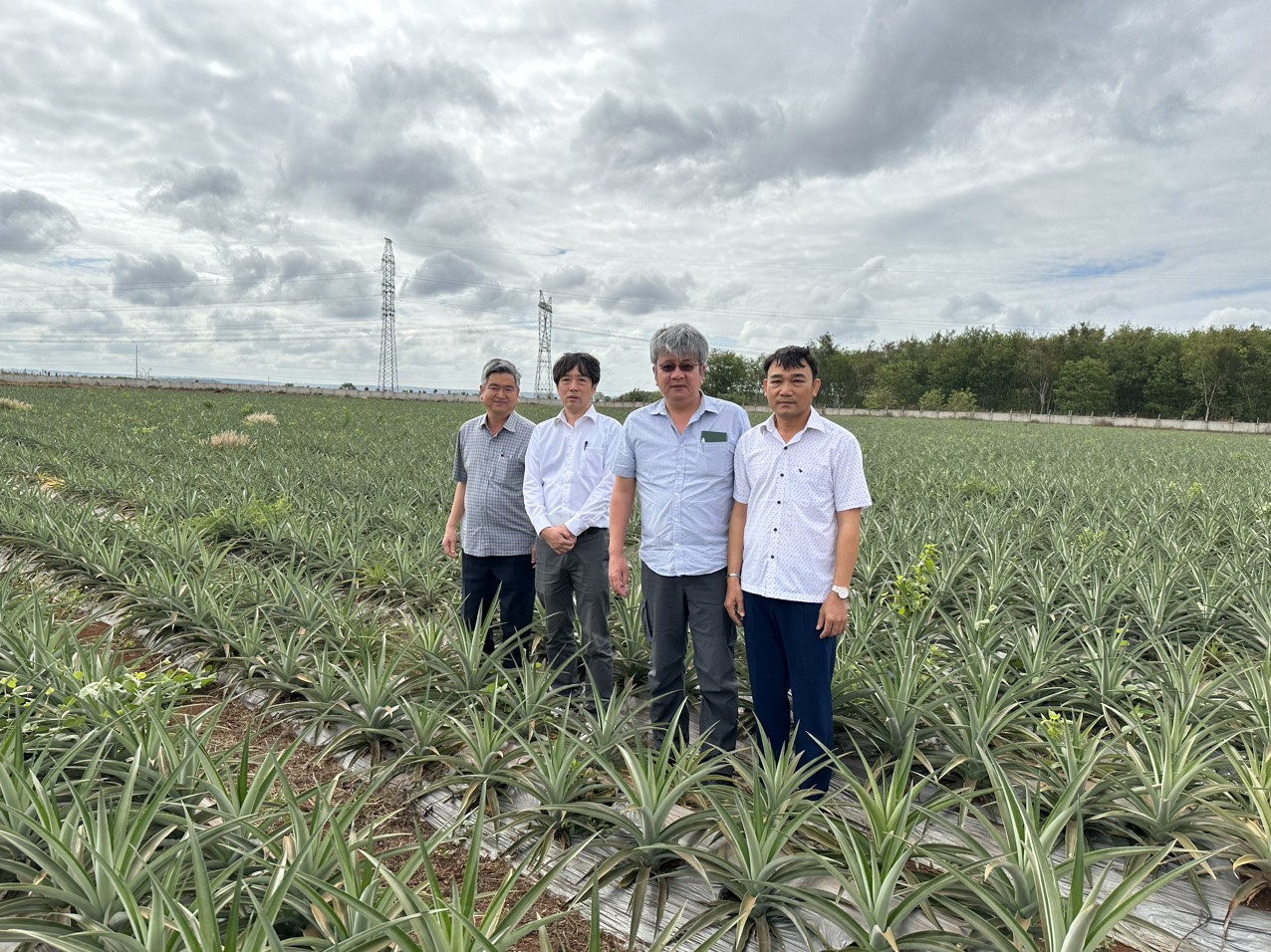 Hiệp hội nông nghiệp hữu cơ của tỉnh Kagoshima, Nhật Bản khảo sát mô hình nông nghiệp hữu cơ tại Đắk Lắk