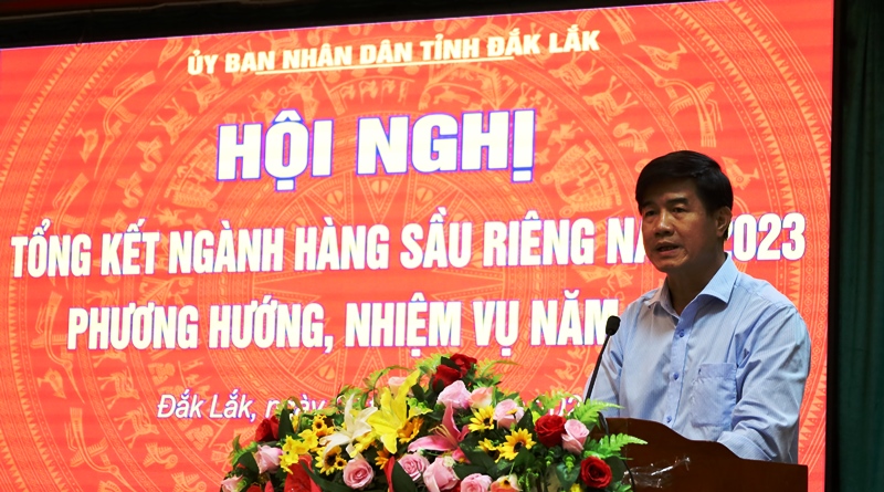 Tìm giải pháp gia tăng giá trị và phát triển bền vững ngành hàng sầu riêng Đắk Lắk