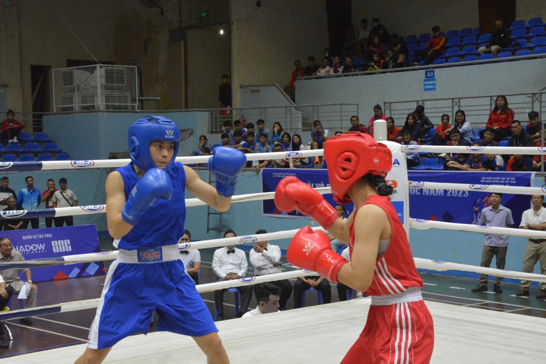 37 đội tham dự Giải Vô địch Boxing các đội mạnh toàn quốc năm 2024