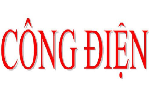 Triển khai thực hiện Công điện số 36/CĐ-TTg ngày 11/4/2024 của Thủ tướng Chính phủ