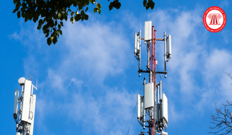 Triển khai Thông tư số 04/2024/TT-BTTTT ngày 10/5/2024 của Bộ Thông tin và Truyền thông