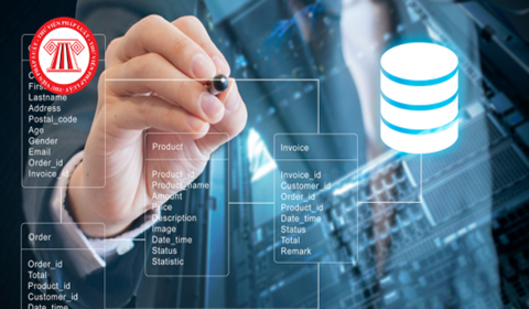 Triển khai Thông tư số 33/2024/TT-BTC ngày 16/5/2024 của Bộ Tài chính