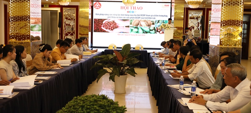Improving Sales Capacity of OCOP Entities in Dak Lak Province