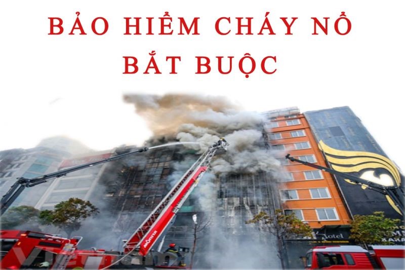 Phê duyệt kế hoạch lựa chọn nhà thầu dự toán mua sắm: Bảo hiểm cháy nổ bắt buộc của Bệnh viện Đa khoa vùng Tây Nguyên