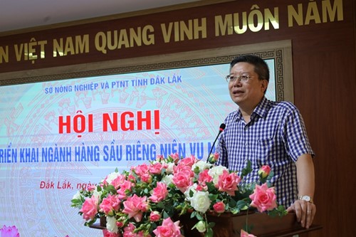 Dak Lak Province Seeks Solutions to Enhance Competitiveness for Durian Crop in the 2024 Season