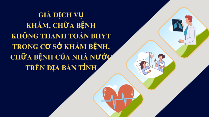 Triển khai Nghị quyết số 15/2024/NQ-HĐND ngày 12/7/2024 của Hội đồng nhân dân tỉnh