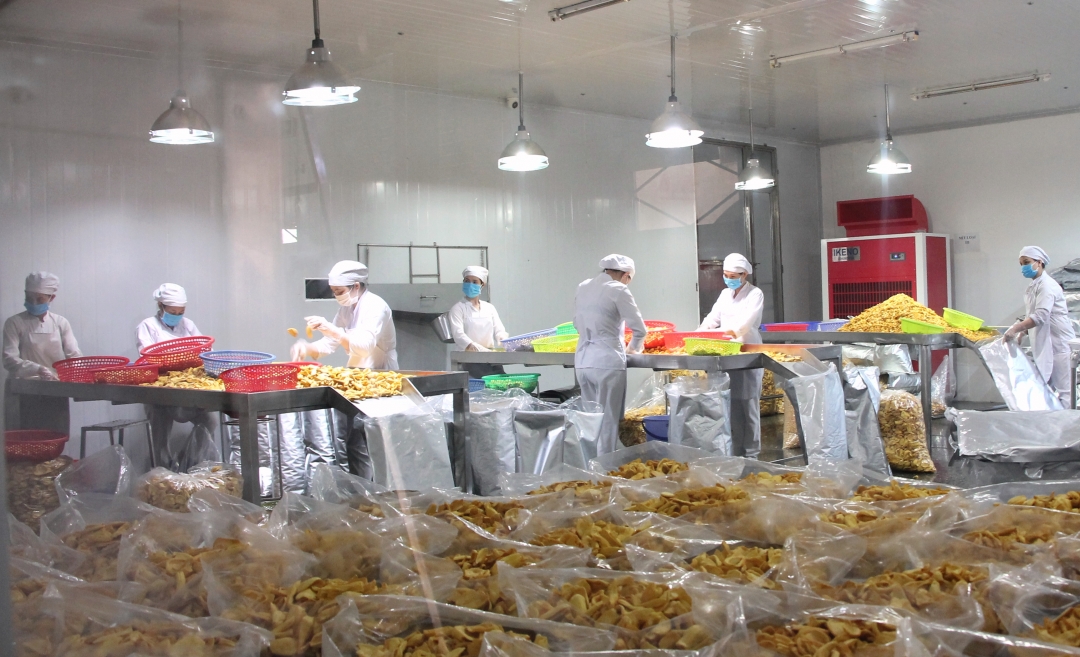 Quyết định về việc cho Công ty trách nhiệm hữu hạn Trái cây Darlac Farms thuê 31.634,6m2 đất tại Cụm công nghiệp Ea Đar, huyện Ea Kar để thực hiện dự án Nhà máy chế biến trái cây