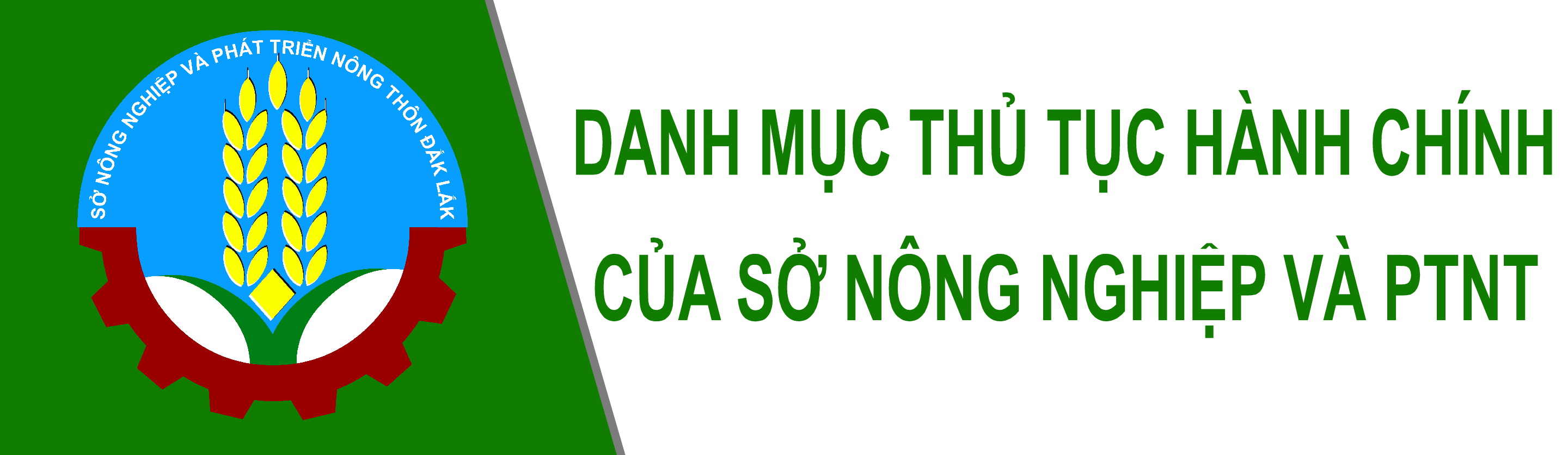 Công bố Danh mục thủ tục hành chính mới ban hành, thủ tục hành chính được sửa đổi, bổ sung lĩnh vực lâm nghiệp và kiểm lâm thuộc phạm vi chức năng quản lý của Sở Nông nghiệp và Phát triển nông thôn