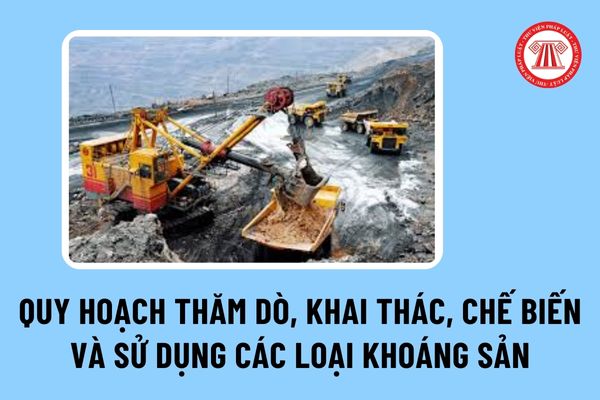 Triển khai Quyết định số 711/QĐ-TTg ngày 24/7/2024 của Thủ tướng Chính phủ