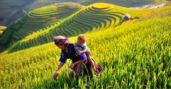 Triển khai Quyết định số 497/QĐ-UBDT ngày 30/7/2024 của Ủy ban Dân tộc