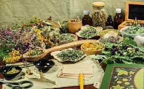 Tham gia Hội chợ Dược liệu, Y dược cổ truyền và các sản phẩm từ dược liệu toàn quốc lần thứ hai, năm 2024