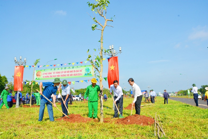 TP.Buôn Ma Thuột sẽ triển khai trồng hơn 5.000 cây xanh đô thị trên địa bàn